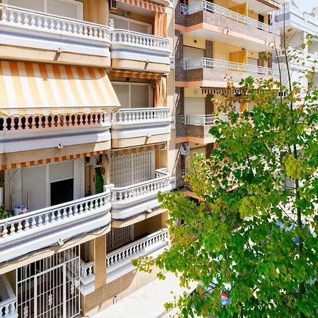 Sunny Delight Granfield A105